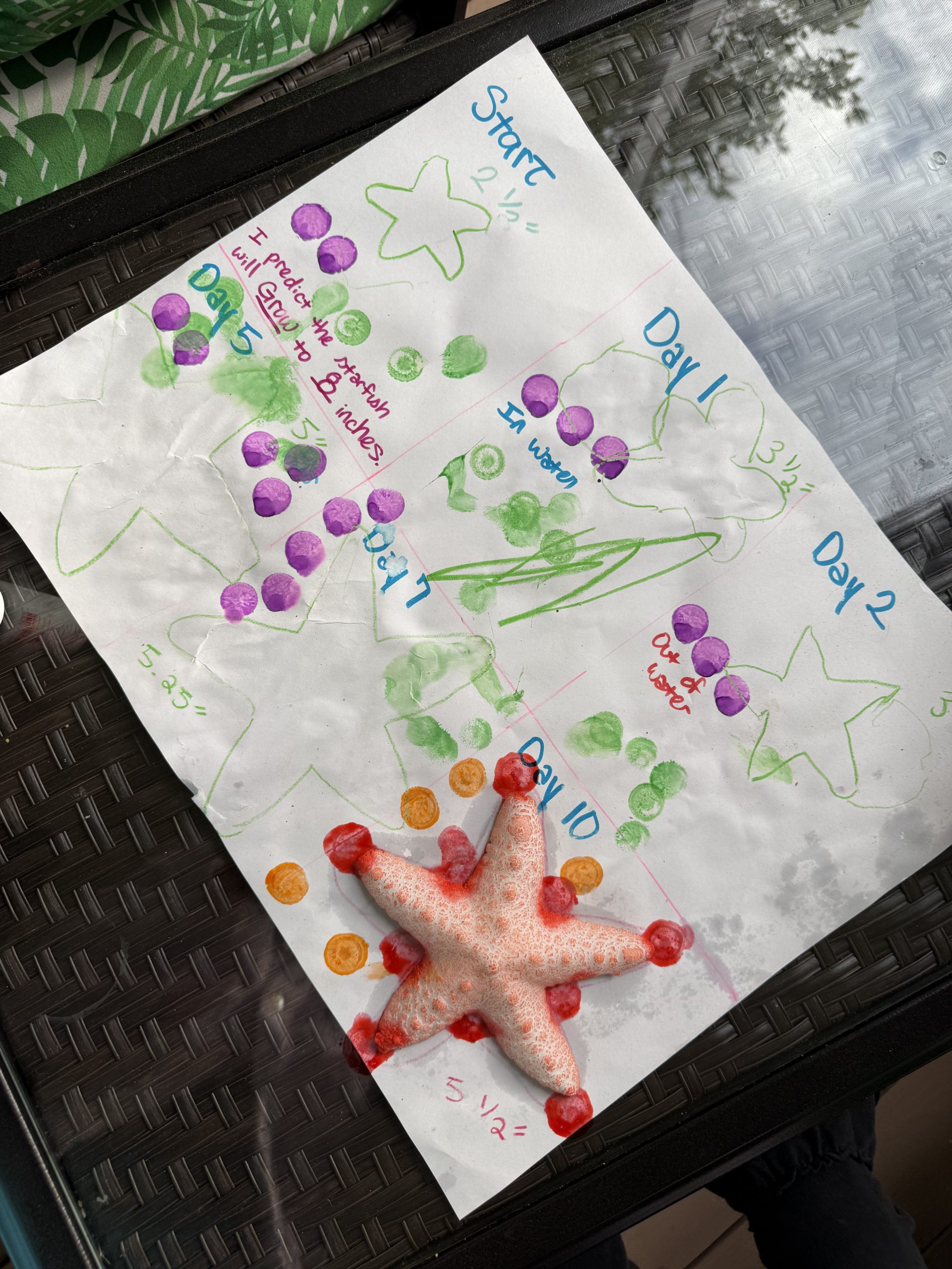 Toddler’s First Science Experiment